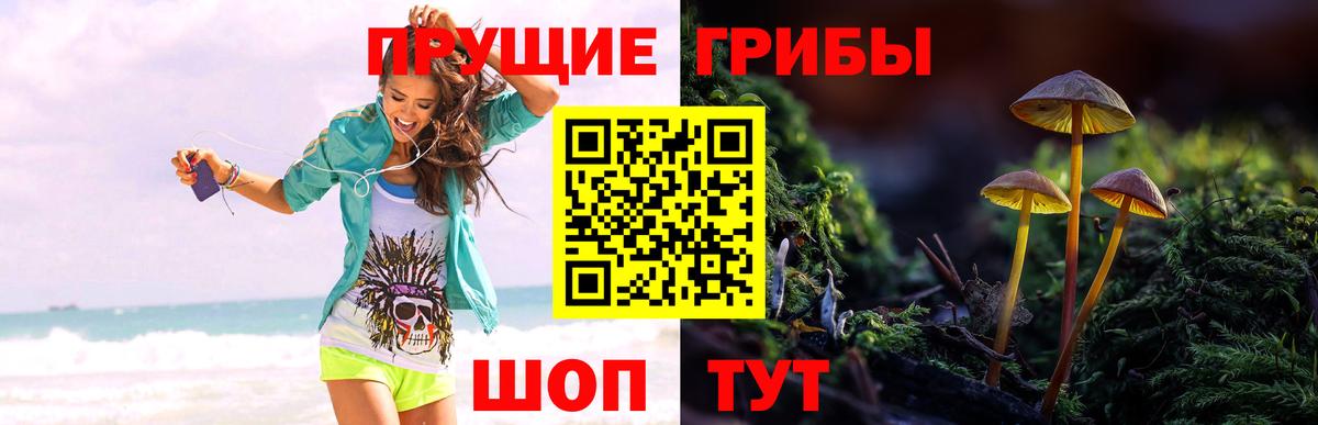 Псилоцибиновые грибы мухоморы  Вход с VPN  где найти   Кимры  Псилоцибиновые грибы прущие грибы 